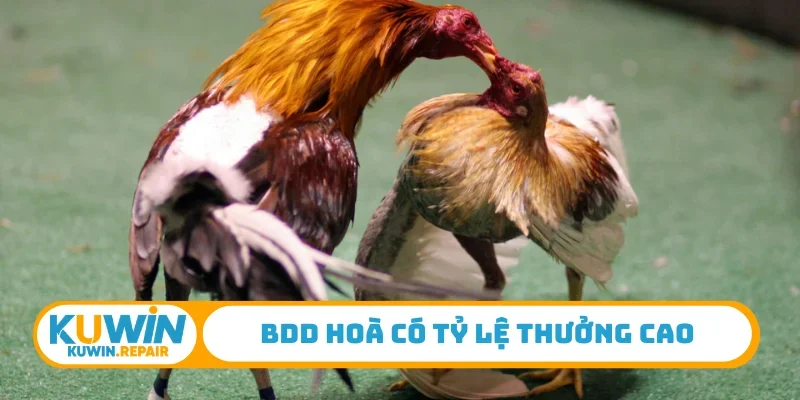BDD hoà có tỷ lệ thưởng cao