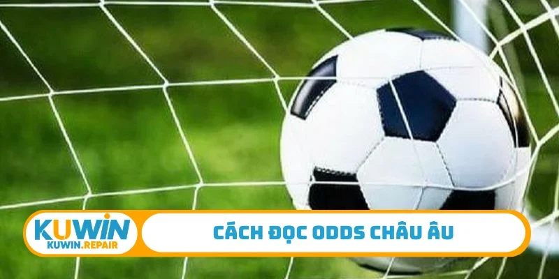 Cách đọc odds châu Âu