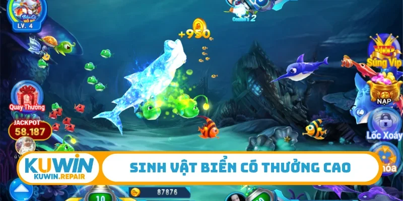 Sinh vật biển có thưởng cao